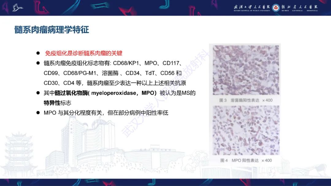 影像PPT - 【PPT】阴道髓系肉瘤影像诊断-13