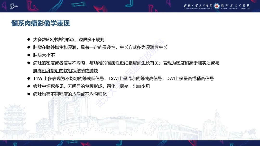 影像PPT - 【PPT】阴道髓系肉瘤影像诊断-14