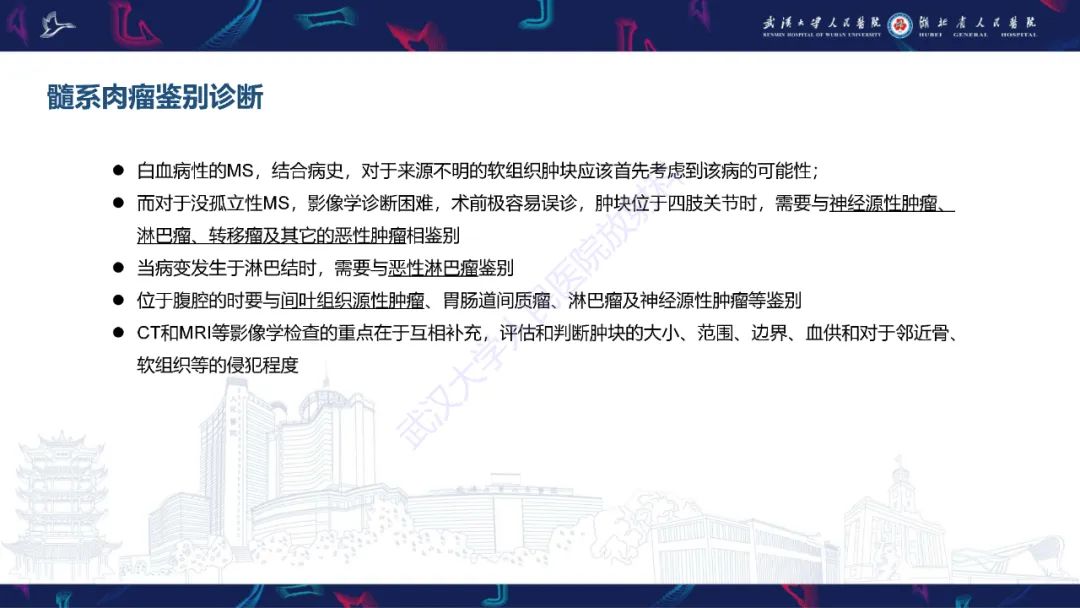 影像PPT - 【PPT】阴道髓系肉瘤影像诊断-21