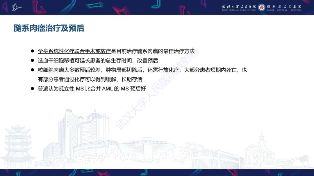 影像PPT - 【PPT】阴道髓系肉瘤影像诊断-22