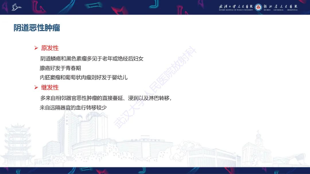 影像PPT - 【PPT】阴道髓系肉瘤影像诊断-23
