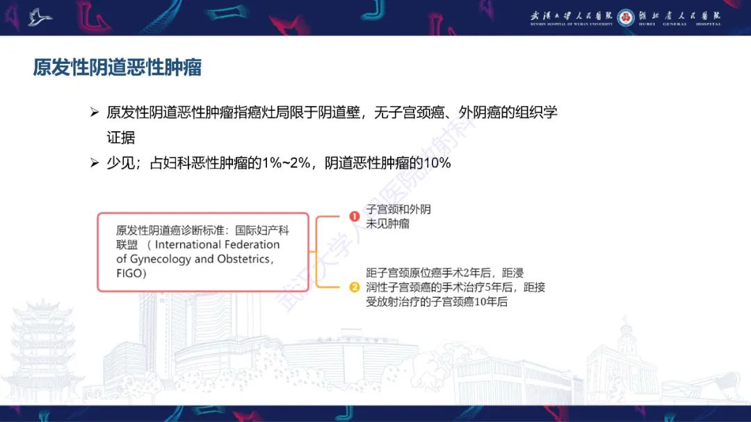 影像PPT - 【PPT】阴道髓系肉瘤影像诊断-24