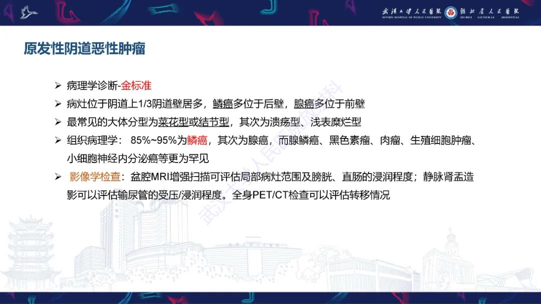 影像PPT - 【PPT】阴道髓系肉瘤影像诊断-25