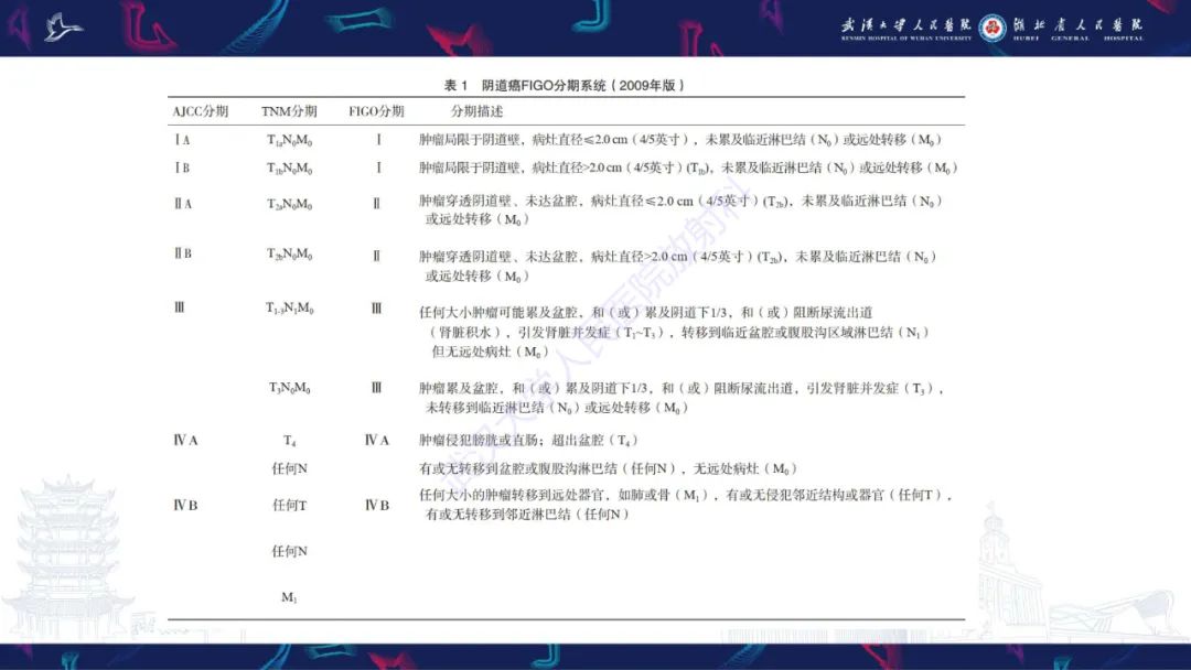 影像PPT - 【PPT】阴道髓系肉瘤影像诊断-26