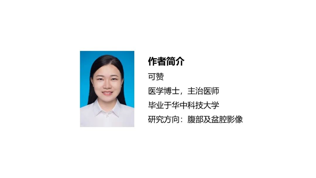 影像PPT - 【PPT】阴道髓系肉瘤影像诊断-29