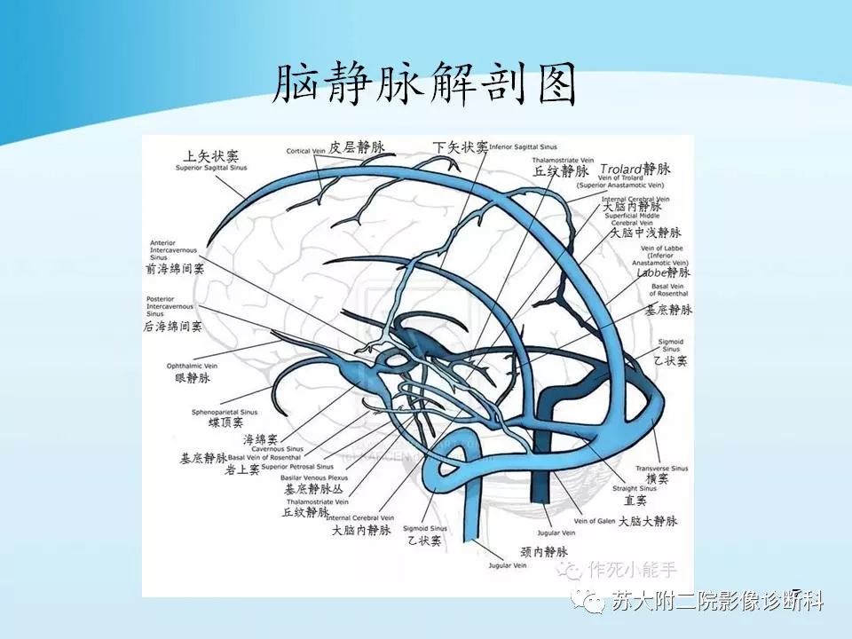 影像PPT - 【PPT】脑静脉血栓影像征象分析-7
