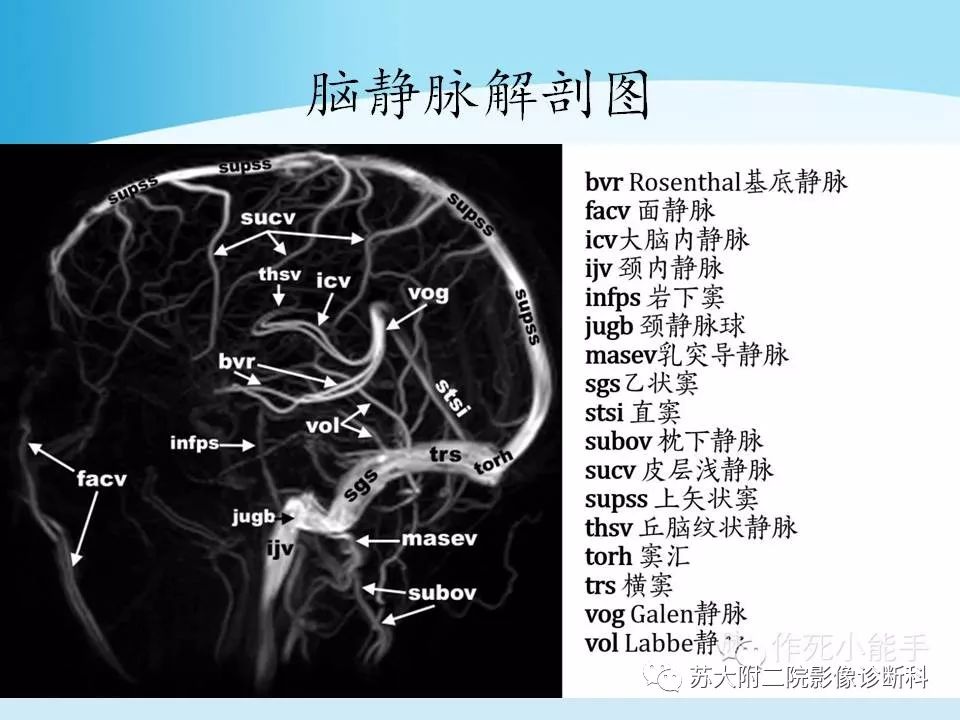 影像PPT - 【PPT】脑静脉血栓影像征象分析-11