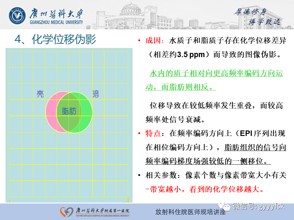 影像PPT - 【PPT】磁共振成像中的常见伪影及避免方法-23