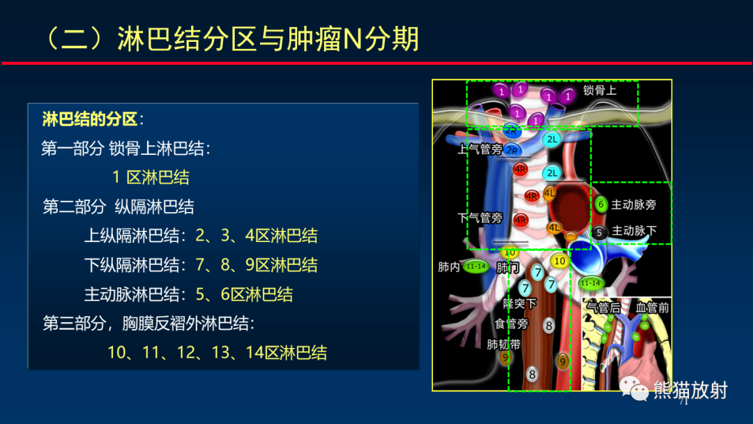 影像PPT - 【PPT】纵隔与肺门淋巴结的识别与精准CT分区-71