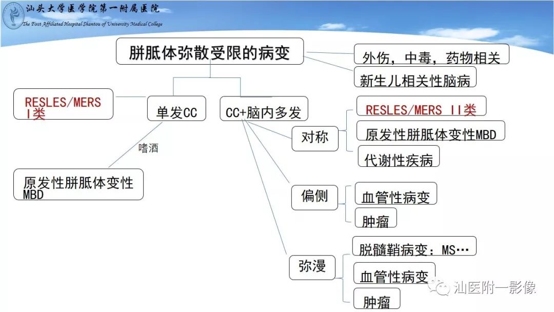 影像PPT - 【PPT】胼胝体弥散受限病变的MRI诊断思路-27
