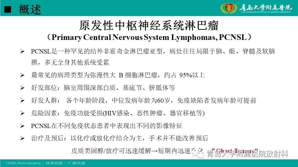影像PPT - 【病例】原发性中枢神经系统淋巴瘤1例CT及MR影像-14