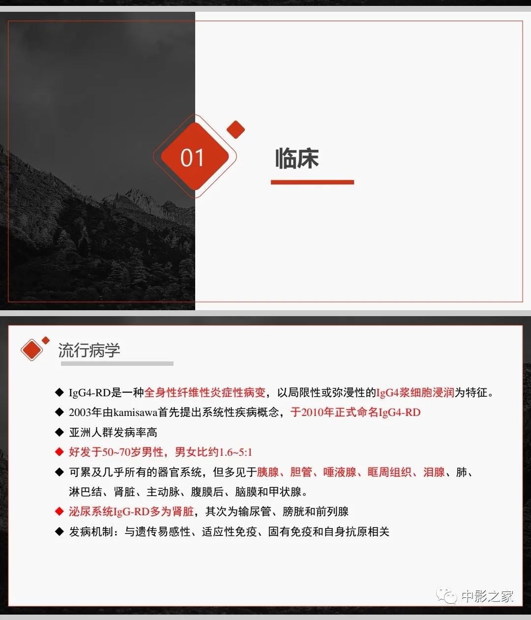 影像PPT - 【PPT】肾脏IgG4-RD临床、病理及影像特征-3