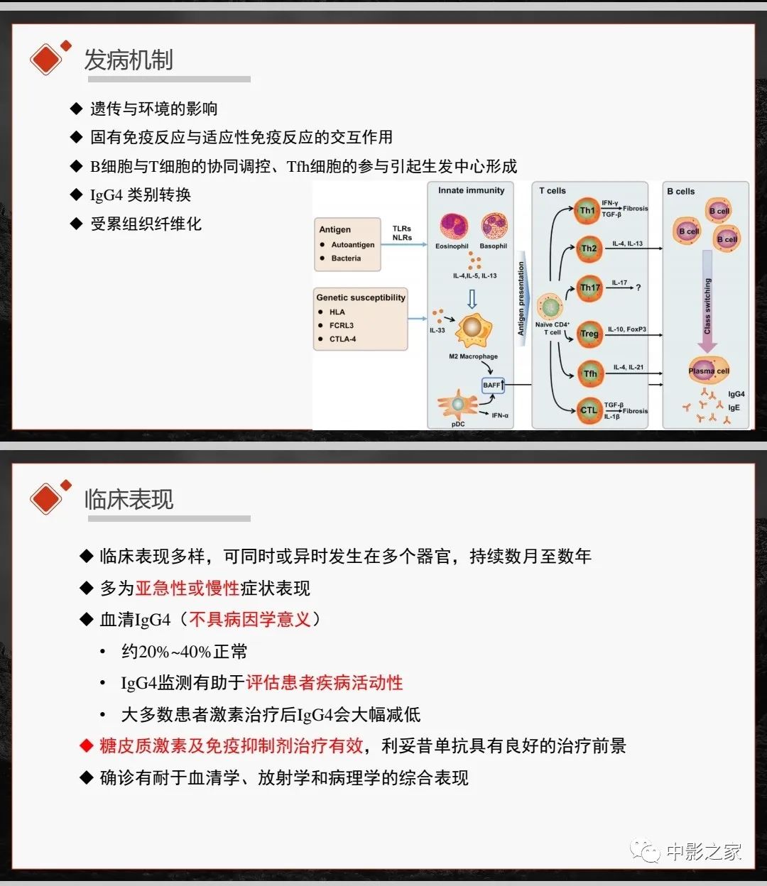 影像PPT - 【PPT】肾脏IgG4-RD临床、病理及影像特征-4