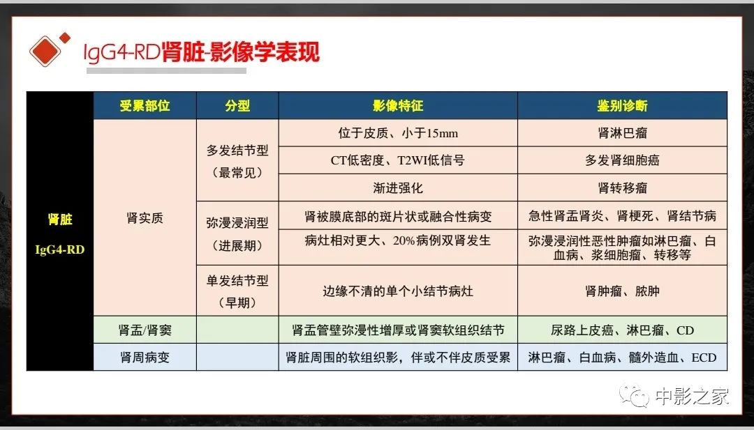 影像PPT - 【PPT】肾脏IgG4-RD临床、病理及影像特征-13
