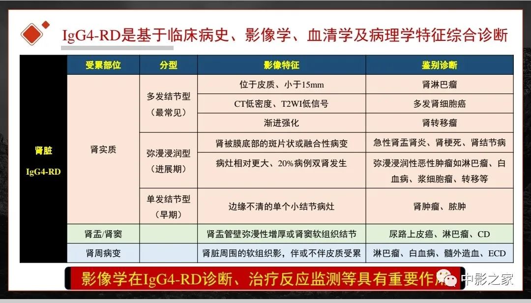 影像PPT - 【PPT】肾脏IgG4-RD临床、病理及影像特征-41