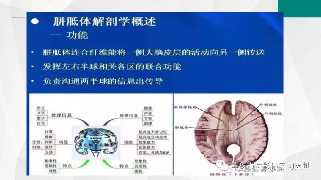 影像PPT - 【PPT】可逆性胼胝体压部病变综合征-7