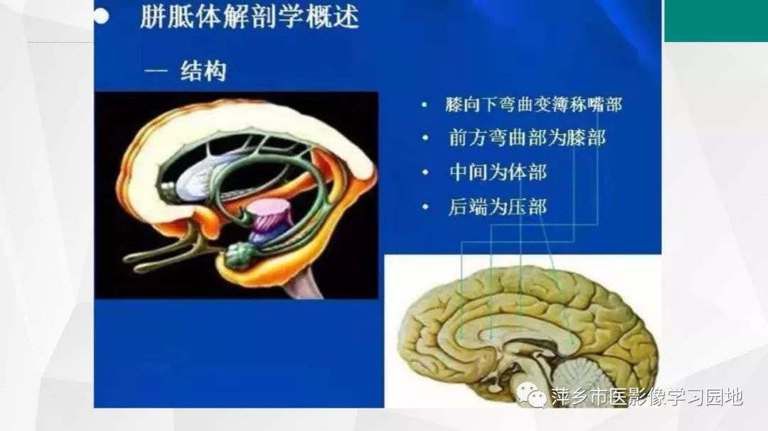 影像PPT - 【PPT】可逆性胼胝体压部病变综合征-8