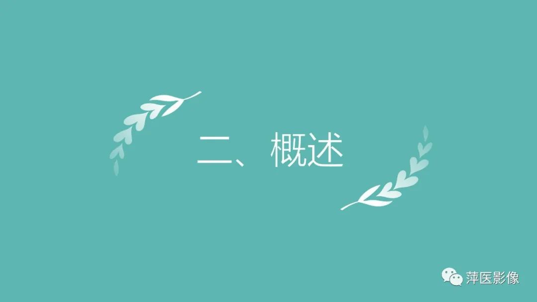 影像PPT - 【PPT】脑皮质层状坏死的影像诊断-9