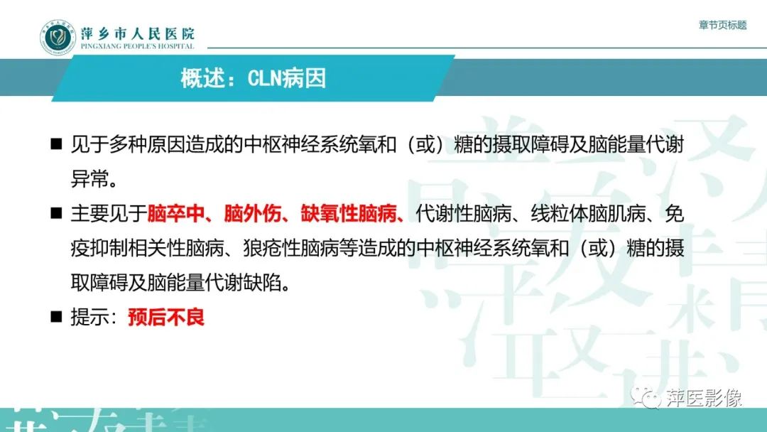 影像PPT - 【PPT】脑皮质层状坏死的影像诊断-11