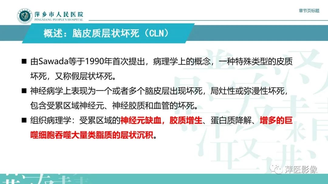 影像PPT - 【PPT】脑皮质层状坏死的影像诊断-10