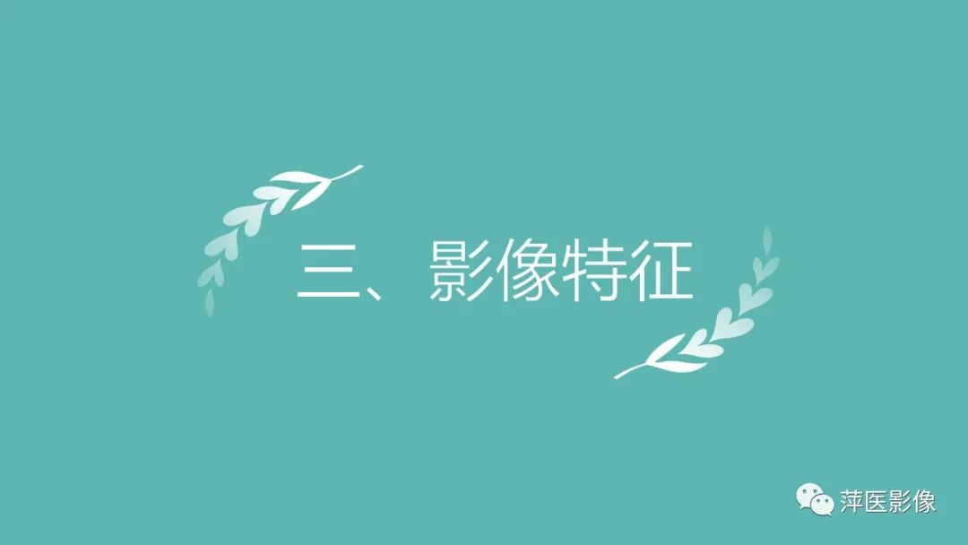 影像PPT - 【PPT】脑皮质层状坏死的影像诊断-15
