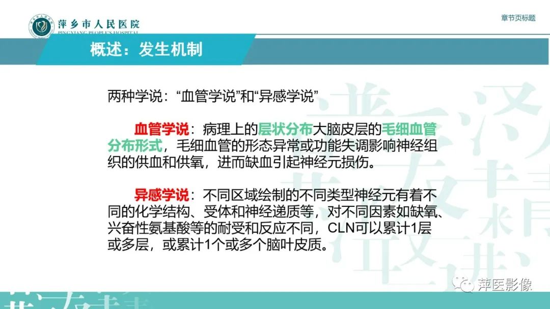 影像PPT - 【PPT】脑皮质层状坏死的影像诊断-12