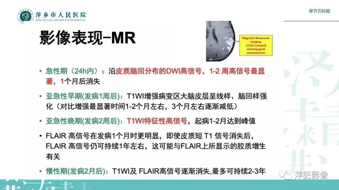 影像PPT - 【PPT】脑皮质层状坏死的影像诊断-19