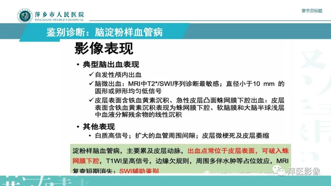 影像PPT - 【PPT】脑皮质层状坏死的影像诊断-32