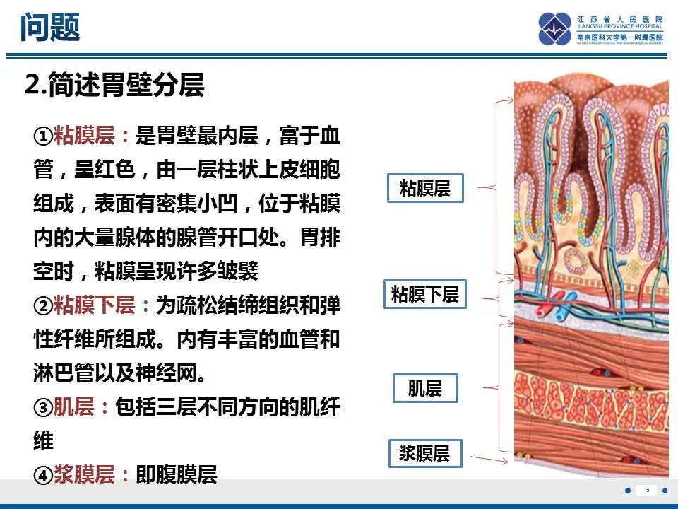 影像PPT - 【PPT】胃恒径动脉综合征-13