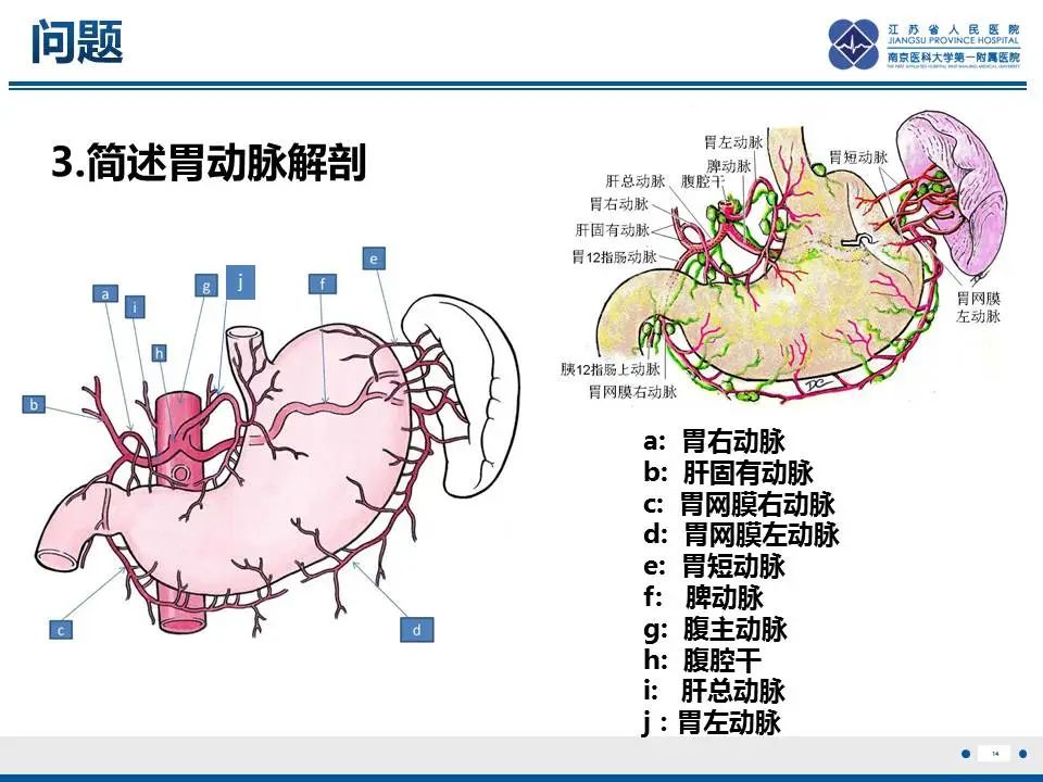 影像PPT - 【PPT】胃恒径动脉综合征-15