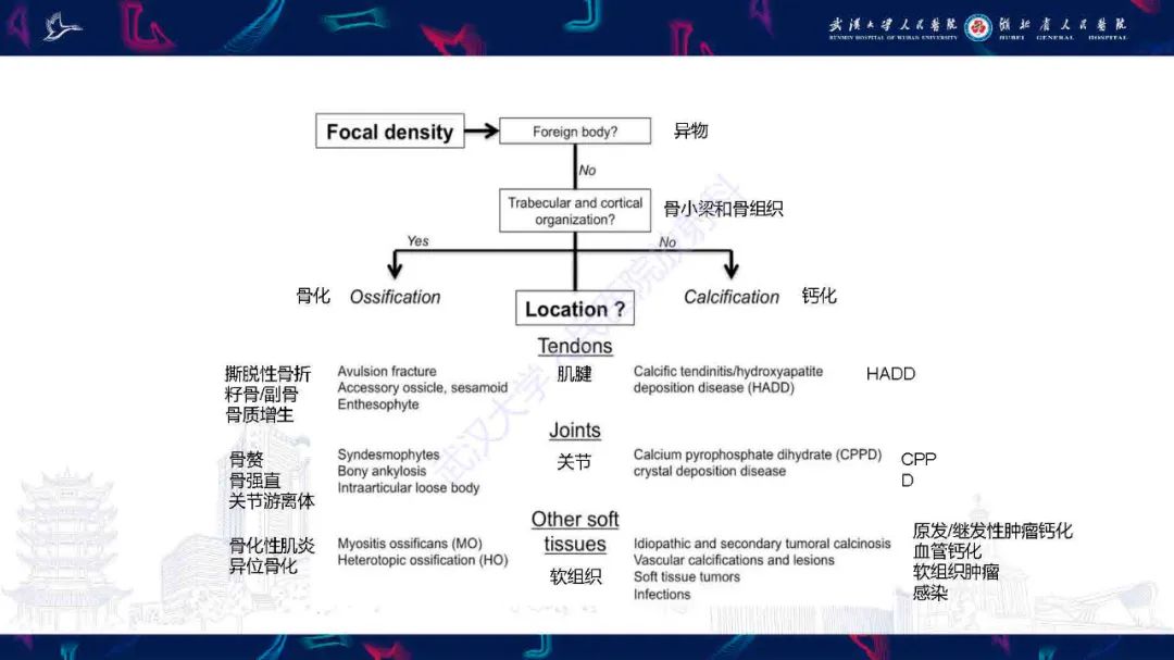 影像PPT - 【PPT】软组织钙化影像诊断-4