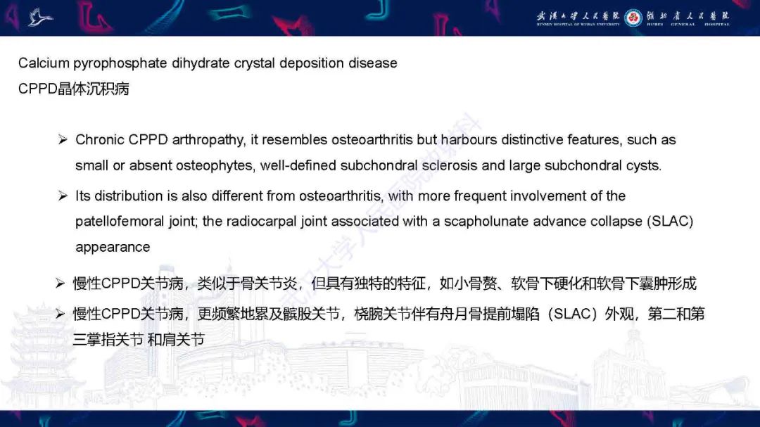 影像PPT - 【PPT】软组织钙化影像诊断-14