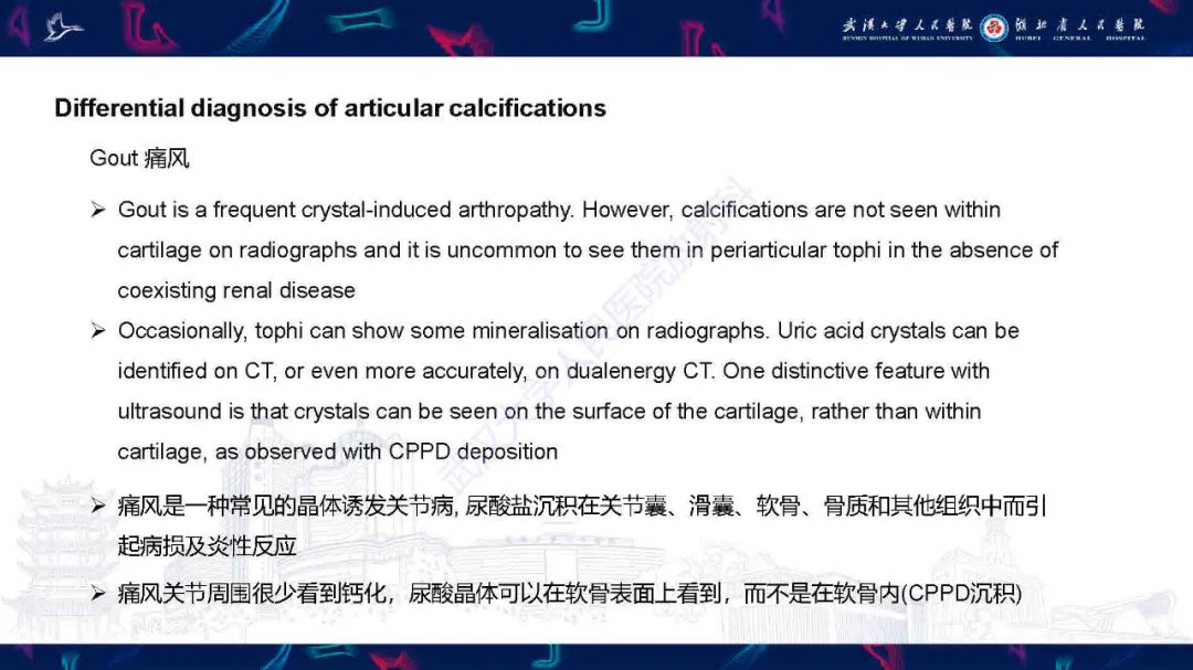 影像PPT - 【PPT】软组织钙化影像诊断-18