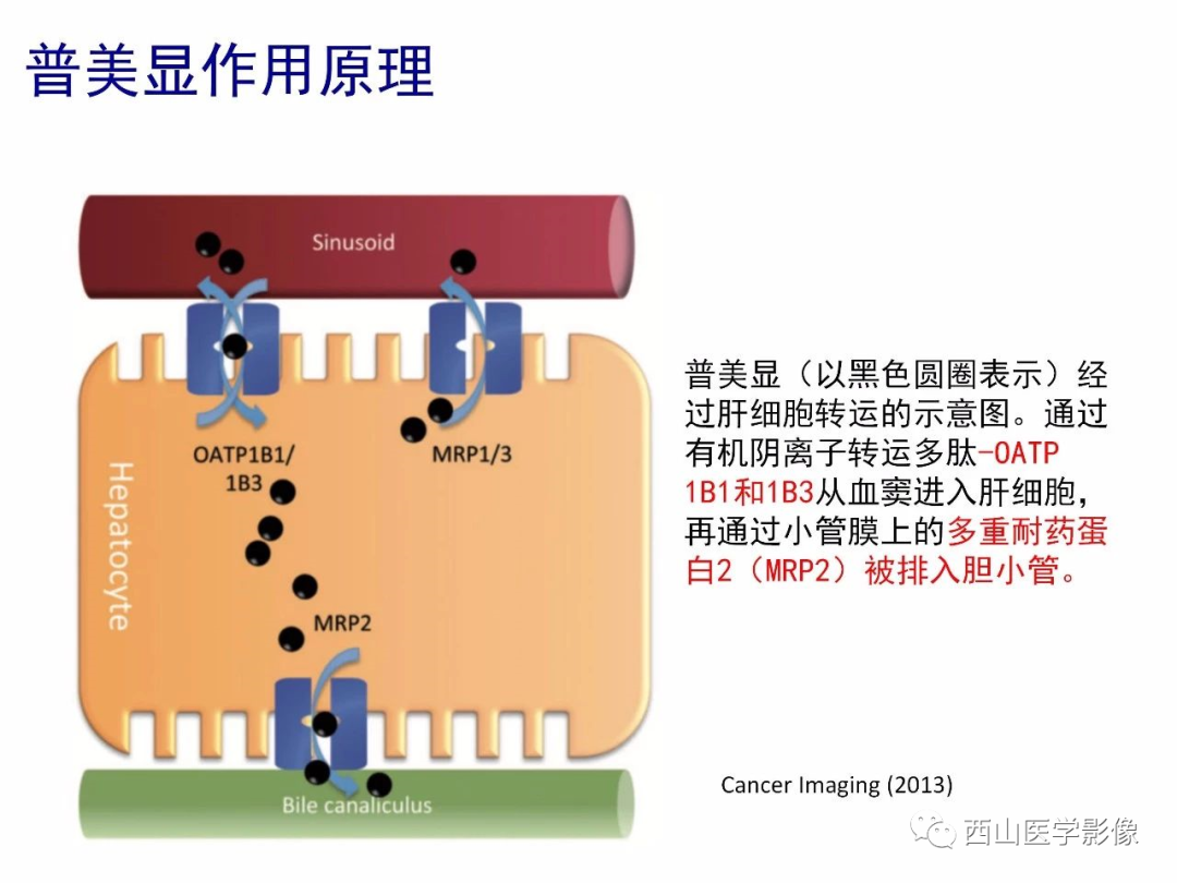 影像PPT - 【PPT】普美显临床应用病例解析-1