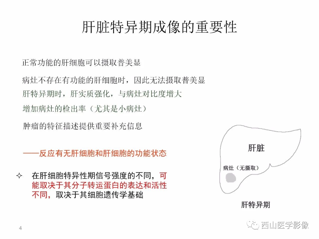 影像PPT - 【PPT】普美显临床应用病例解析-3