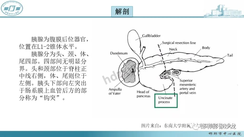 影像PPT - 【PPT】胰腺实性假乳头状瘤-12 影像PPT - 【PPT】胰腺实性假乳头状瘤-12