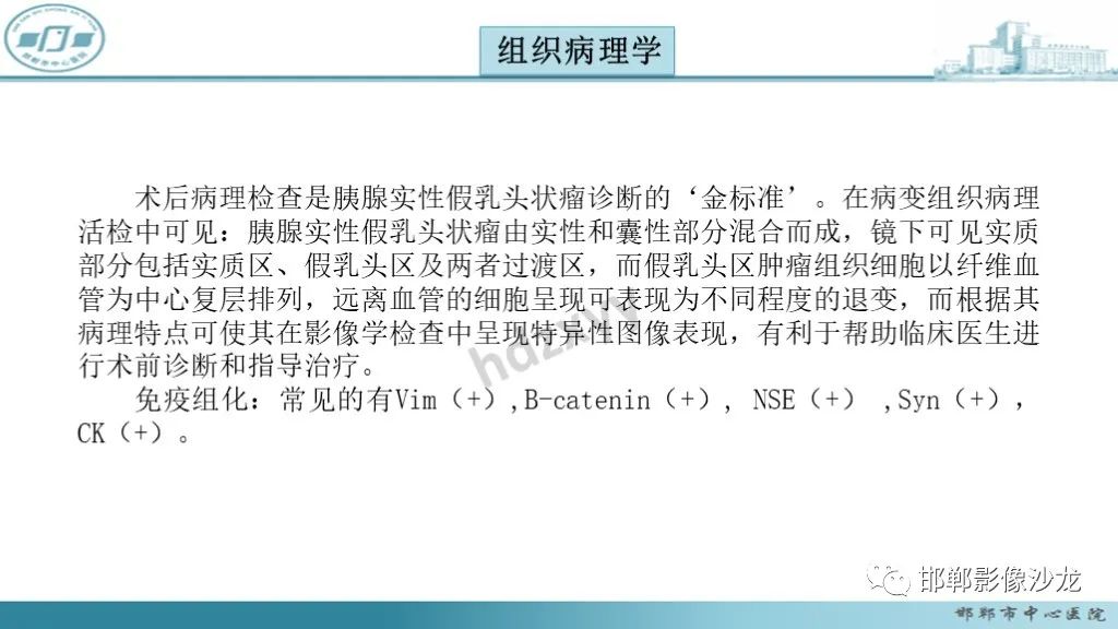 影像PPT - 【PPT】胰腺实性假乳头状瘤-14 影像PPT - 【PPT】胰腺实性假乳头状瘤-14