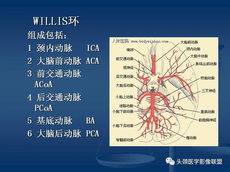 影像PPT - 【PPT】头颈部CTA和DSA对血管病变的诊断-23