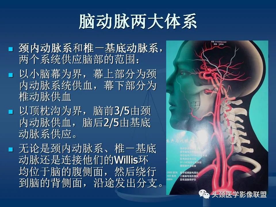 影像PPT - 【PPT】头颈部CTA和DSA对血管病变的诊断-22