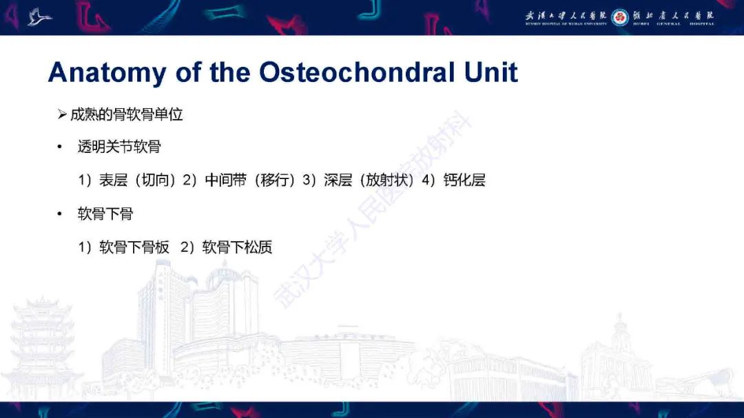 影像PPT - 【PPT】关节软骨损伤MRI诊断-2