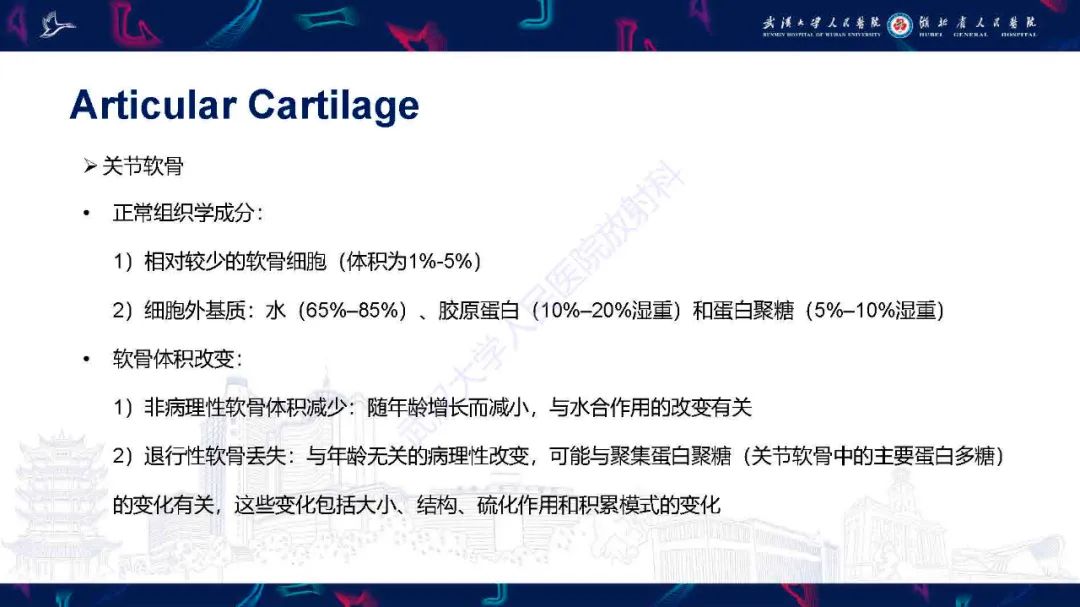 影像PPT - 【PPT】关节软骨损伤MRI诊断-6