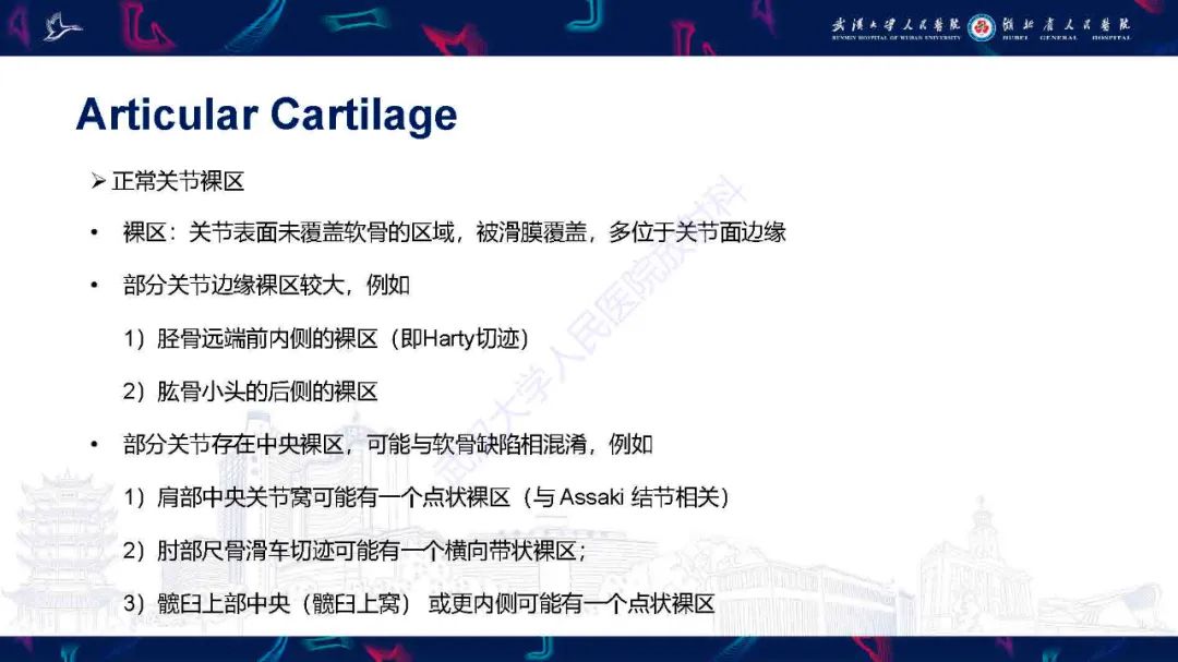 影像PPT - 【PPT】关节软骨损伤MRI诊断-7