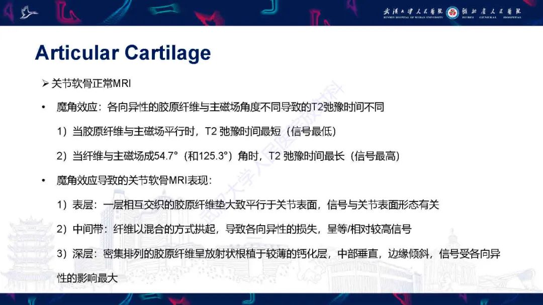影像PPT - 【PPT】关节软骨损伤MRI诊断-8