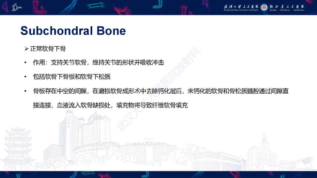 影像PPT - 【PPT】关节软骨损伤MRI诊断-11
