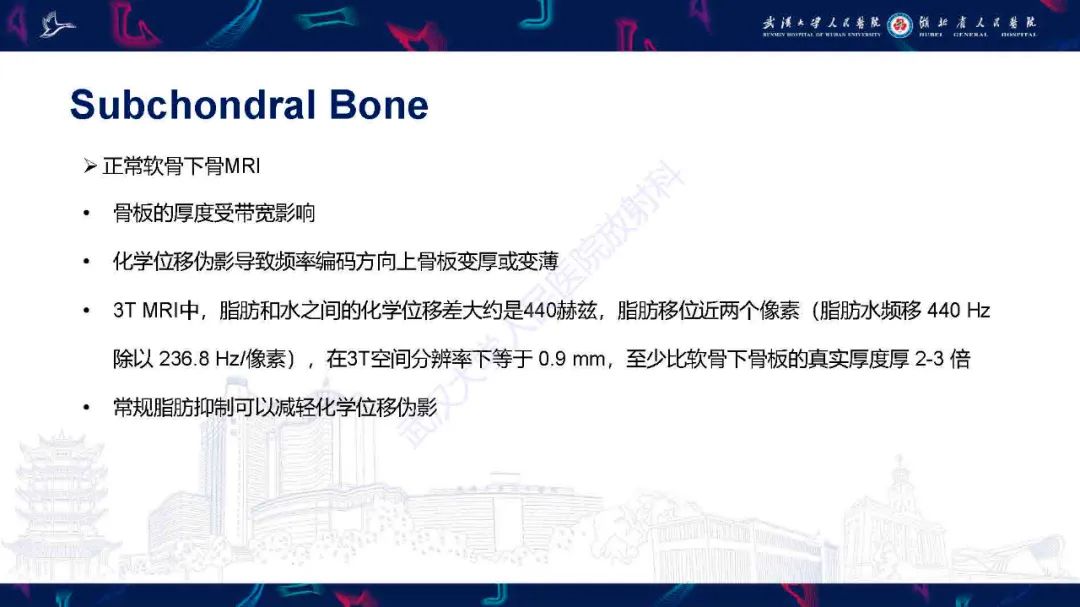 影像PPT - 【PPT】关节软骨损伤MRI诊断-12