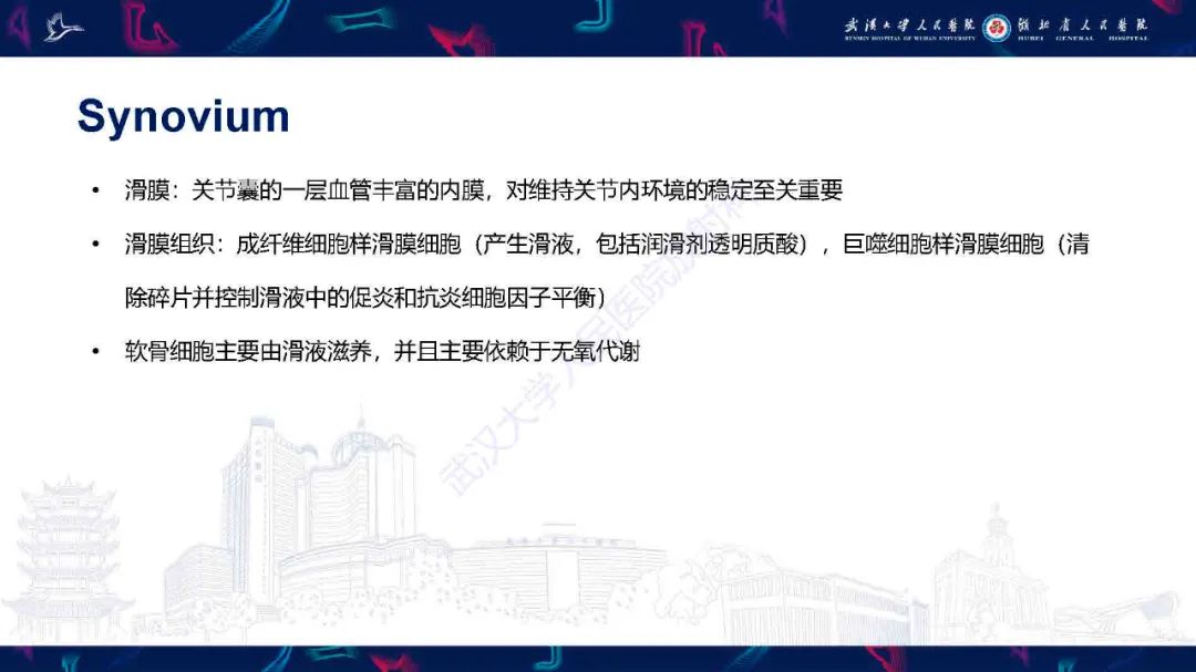 影像PPT - 【PPT】关节软骨损伤MRI诊断-15