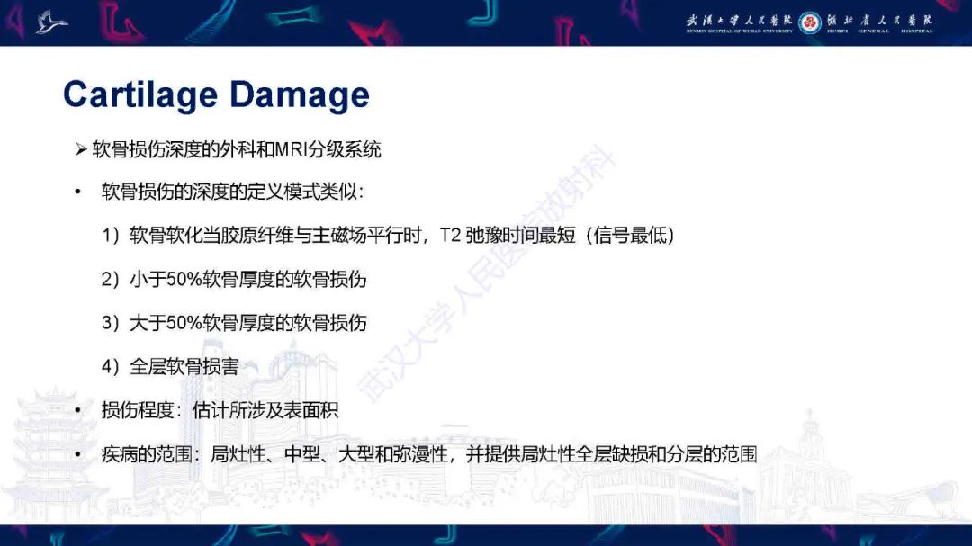 影像PPT - 【PPT】关节软骨损伤MRI诊断-16