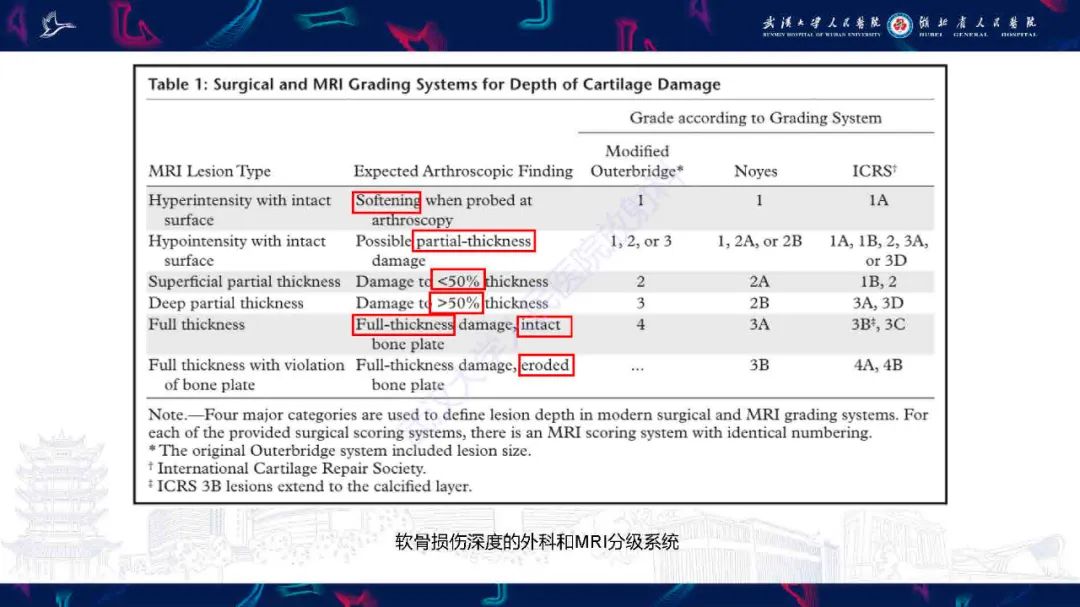 影像PPT - 【PPT】关节软骨损伤MRI诊断-17