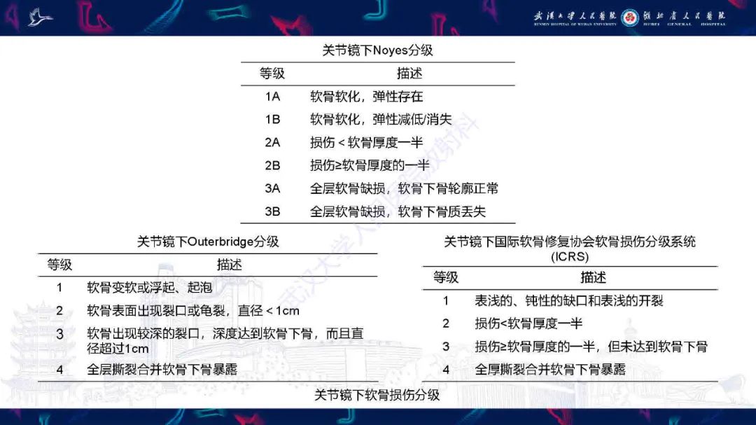 影像PPT - 【PPT】关节软骨损伤MRI诊断-18
