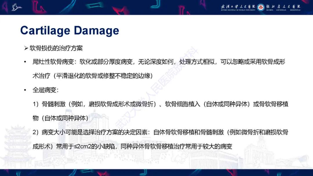 影像PPT - 【PPT】关节软骨损伤MRI诊断-19